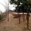 양천산성 Daum카페