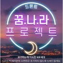 딜란디스
