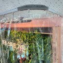 대전화정초등학교 이미지