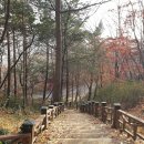 수봉자연학습원 이미지