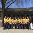 경희대박사태권도 네이버블로그