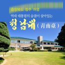 2022년11월13일(일)청주 청남대&국화꽃축제 트레킹(정기산행)~ 이미지