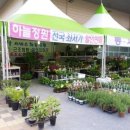 봄봄플라워 - 양주시 독바위로 26 | 봄봄플라워