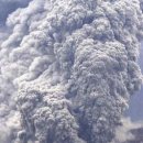 해일통상 이미지