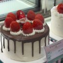 몽땅푸드 | 카페디아즈 생과일 케이크 신세계강남푸드코트 팝업 기간 및 위치