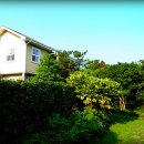 덕수리-2 이미지