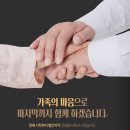 이담 이미지
