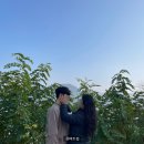 우니메이카 안동점 | 안동 캠핑장 우니메이카 솔직후기 가격 정보까지