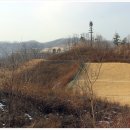 월산1리 Daum카페