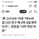 도리도리 - 달서구 | 도리도리