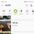 슈퍼토토 이미지