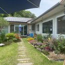 수향오리 이미지