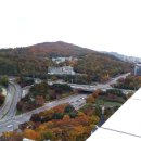 서울 서초구 서운로 11 옥상에서 바라본 우면산과 경부고속도로 (2021.11.07) 이미지