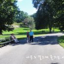 보타니칼 이미지
