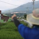 보절면 사촌마을 이미지