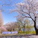 연세대학교 원주박물관 이미지