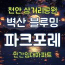 벽산블루밍아파트3단지경로당 | 천안 부동산 양극화 속에서도 답이 되는 선택, 삼거리 벽산 블루밍 파크포레