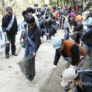 푸른산 디자인 연합뉴스