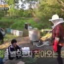 꿀벌부부