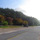 늑천정 옆 이미지