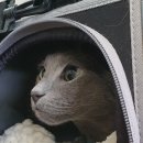 펜션 노엘 이미지