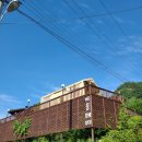 비올레띠 이미지