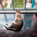 셀프경락 마사지 이미지