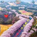 서해2차 이미지