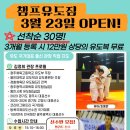 코리아 유도 짐 이미지