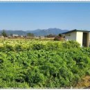 운곡약국 이미지