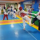 가운태권도 이미지