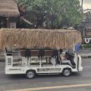 우림할인마트 | 발리 우붓 쇼핑리스트 코코 마트 기념품 쇼핑 BEST