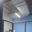 원도태권도장 이미지