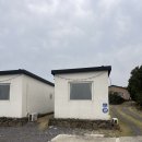 퐁낭에염 이미지