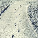 11월의 발자국 이미지