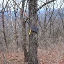 쇄재터널 이미지