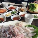 제주도바다배낚시체험 네이버블로그