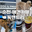 독앤트리 이미지