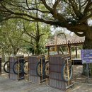 모구리야영장(일출봉영지) 이미지