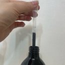 세솔식물영양제 다육이 선인장 관엽 화분키우기 초보자도 잘키우는 초간단사용법