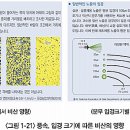 당진호스릴-71 | 고구마 작업별 기계화 기술 - Ⅱ