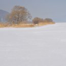 10/03/04 닭백숙과 신부님들 - [지금여기 사사비평] 이미지