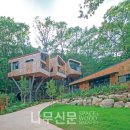 트리하우스 이미지