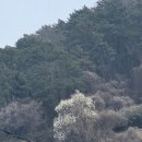 맑은샘 대중 사우나 이미지