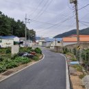 천대국치길 이미지