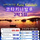 지니여행사