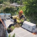 남원소방서(식정119안전센터)