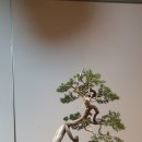 빛고을고등학교 이미지