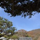 홍천더테라스 이미지