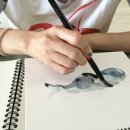 일러스트수업
